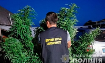 Под Черниговом задержан мужчина с партией наркотиков на сумму более 1 млн грн
