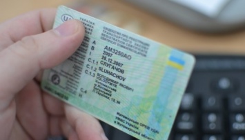 В Украине запустили онлайн-проверку водительских прав