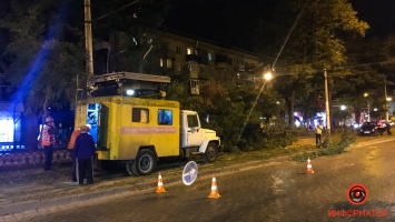 В Днепре на проспекте Дмитрия Яворницкого упала ветка и заблокировала движение трамваев