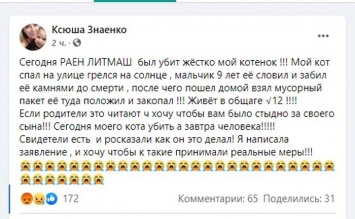 В Павлограде мальчик жестоко убил котенка, - СОЦСЕТИ
