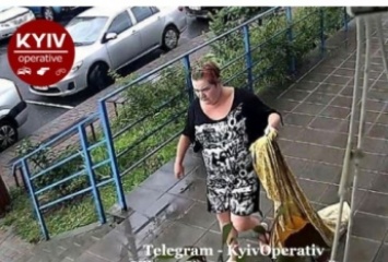В Киеве женщина попалась на наглой краже: лишила развлечения детей, фото