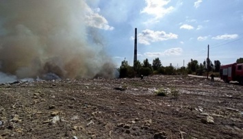Левый берег Киева накрыл едкий смог - горит свалка