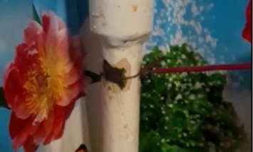 Харьковчан испугала газовая труба, бившая их током