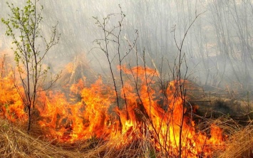 За сутки произошло 22 пожара в экосистемах Запорожской области