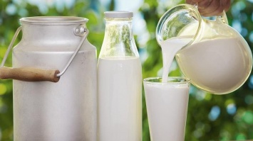 Ученые выявили вред от чрезмерного употребления молока