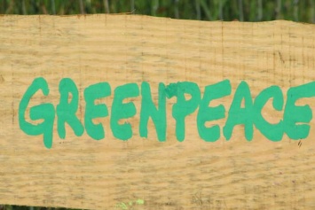 Активисты Greenpeace начали защищать море от браконьеров валунами