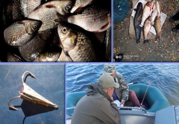 В Запорожской области браконьеры массово ловили рыбу сетями