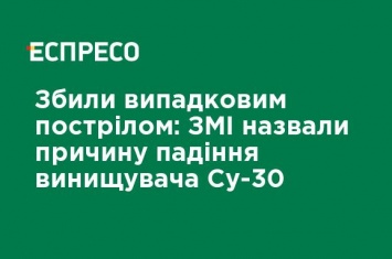 Сбили случайным выстрелом: СМИ назвали причину падения истребителя Су-30