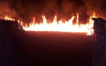 На Херсонщине спасатели полностью ликвидировали пожар в плавнях