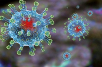 Ученые вычислили убийственную для коронавируса погоду