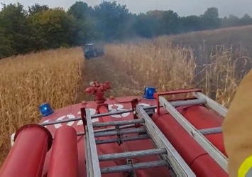 Возле Яготина сгорело поле кукурузы