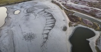 На запорожском курорте на песке появилась огромная медуза - видео
