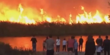 Очевидцы публикуют жуткие видео пожаров под Воронежем