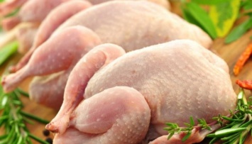 Три птицефабрики МХП прошли аудит на подтверждение выращивания птицы без антибиотиков