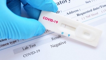 ВОЗ планирует обеспечить бедные страны экспресс-тестами на коронавирус
