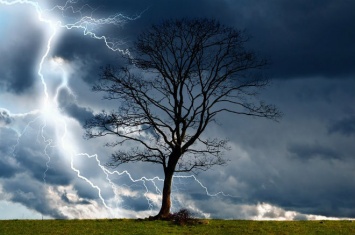 В Запорожье и области ухудшится погода: объявлено штормовое предупреждение