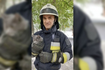 Добру быть: в Днепре спасатели сняли котика с дерева