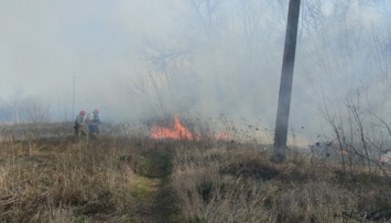 В Краматорске сгорели 8 гектаров ландшафтного парка