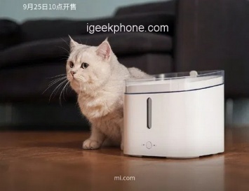 Xiaomi выпустила умный дозатор воды для домашних животных
