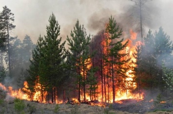 В Станично-Луганском районе снова пожары