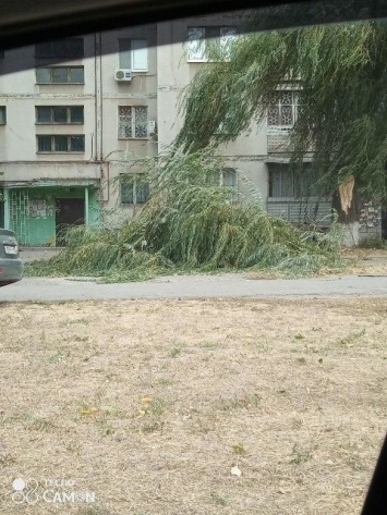 Из-за бури в Луганске падают деревья и пропала связь «МТС»