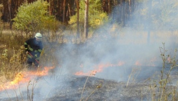 Лесной пожар в Луганской области: эвакуируют жителей двух сел