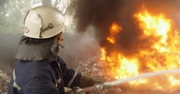 На Луганщине пылают масштабные пожары: Пламя тушат сотни пожарных