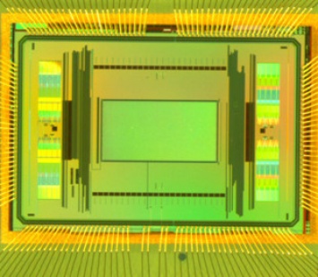 Новая платформа на чипе измеряет динамику нейронов с высоким разрешением