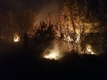 Три человека погибли в лесных пожарах в Луганской области - Венедиктова
