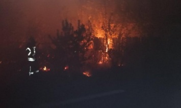 Число жертв масштабных пожаров в Луганской обл. увеличилось до четырех человек