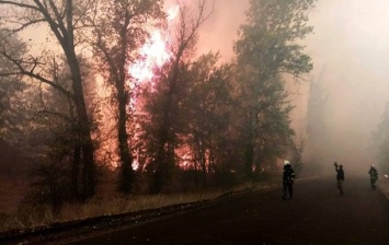 Масштабные пожары на Луганщине: 4 погибших, местные обвиняют оккупантов (ВИДЕО)