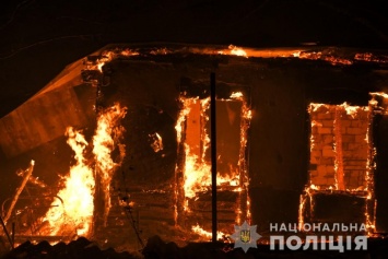 В Офисе президента требуют установить причины масштабного распространения огня на Луганщине