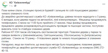 Ночной ураган в Киеве повалил десятки деревьев. Повреждены автомобили и линии электропередач