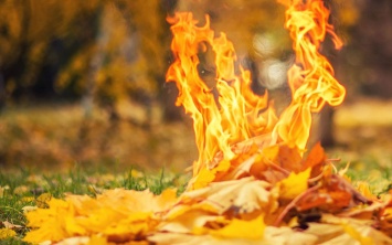 Киевлян будут штрафовать за сжигание листьев