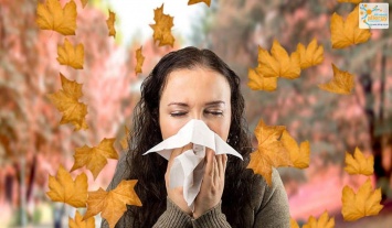 Дожди принесли облегчение аллергикам, но не всем, - аллергопрогноз на начало октября