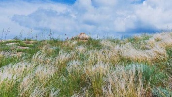 В Ленинском районе Крыма создали государственный природный заказник «Парпачский гребень»