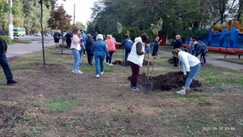 Одесские учителя посадили сотню деревьев на Поселке Котовского и на Таирова