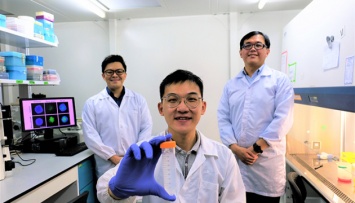 В Сингапуре разработали метод борьбы с раком с помощью наночастиц