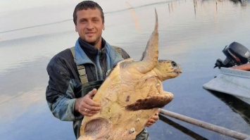 В Скадовске из Черного моря выловили необычное животное (фото)