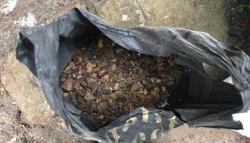 На Ривненщине в ходе обысков изъято свыше 100 килограммов янтаря