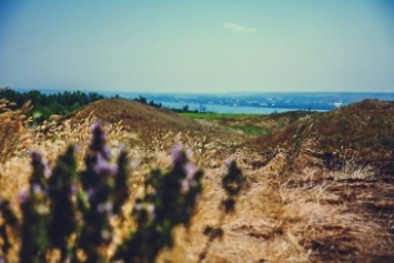 В Запорожской области нашли зеркальце времен Золотой Орды (ФОТО)