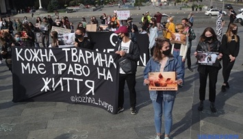 В центре Киева зоозащитники требовали запретить охоту и эвтаназию животных