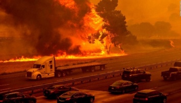 Площадь лесных пожаров в Калифорнии превысила 1,6 миллиона гектар