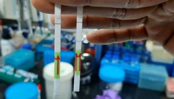 В Индии разработали быстрый бумажный тест на коронавирус