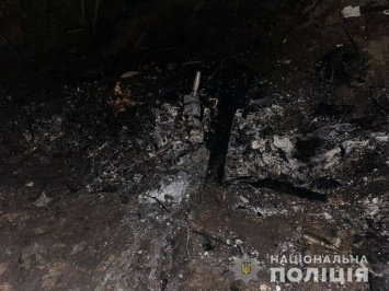 Появились первые подробности падения дельтаплана в Киевской области