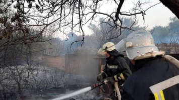 Пожар в Луганской области: полиция назвали источники огня