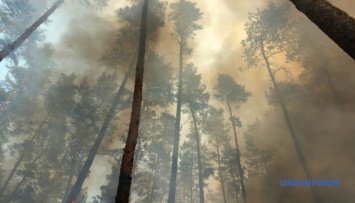 Луганщина будет просить международной помощи в восстановлении лесов