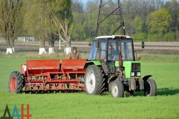 «Экватор» посевной кампании озимых зерновых преодолен в ДНР