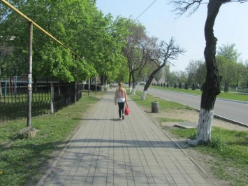 Все терновские школьники досрочно уйдут на каникулы, чтобы не помешать местным выборам