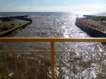 Море в Одесской области покраснело из-за самого бурного за 15 лет роста водорослей